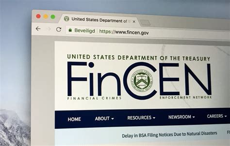 fincen reporting website